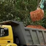 ലോകകപ്പില്‍ ഇന്ത്യ- ഓസ്ട്രേലിയ കലാശപ്പോരാട്ടം