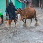 ലോക്സഭയിൽ പ്രതിഷേധിച്ചതിനു വീണ്ടും പ്രതിപക്ഷ എംപിമാർക്കു കൂട്ടത്തോടെ സസ്പെൻഷൻ