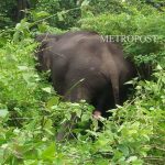 ആശുപത്രികളിൽ കാലാവധി കഴിഞ്ഞ മരുന്നുകൾ നൽകുന്നതായി പ്രതിപക്ഷ നേതാവ് വി.ഡി. സതീശൻ