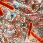 തണ്ണീര്‍ കൊമ്പന്‍ ചരിഞ്ഞ സംഭവം; പ്രതികരിച്ച് വനംവകുപ്പ് മന്ത്രി എ കെ ശശീന്ദ്രന്‍