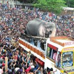 ഫെഡറല്‍ ബാങ്കില്‍ വനിതകള്‍ക്ക് നല്ല ശമ്പളത്തില്‍ ജോലി