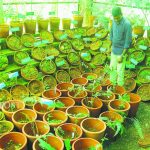 ‘ഓരോ വോട്ടും ശബ്ദവും പ്രധാനം’- നരേന്ദ്ര മോദി, എക്‌സ് പോസ്റ്റിലൂടെ ആഹ്വാനം