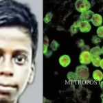 വയനാട്ടില്‍ വീണ്ടും കാട്ടാന ആക്രമണം; ജോലിക്ക് പോകാന്‍ ഇറങ്ങിയ യുവാവിന് ഗുരുതരപരിക്ക്