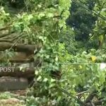 മറിയക്കുട്ടിക്ക് കെപിസിസി വാഗ്ദാനം ചെയ്ത വീടിന്റെ താക്കോല്‍ ദാനം 12 ന്