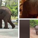 മദ്യനിരോധനമല്ല, മദ്യവര്‍ജനമാണ് പാര്‍ട്ടിയുടെ നയമെന്ന് ബിനോയ് വിശ്വം