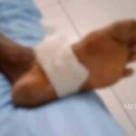 കീം പരീക്ഷാഫലം; സര്‍ക്കാര്‍ നടത്തിയ ഇടപെടല്‍ സദുദ്ദേശപരം: മന്ത്രി ആര്‍ ബിന്ദു
