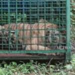 ടെക്സസിലെ മിന്നല് പ്രളയം: 82 പേര് മരിച്ചതായി റിപ്പോര്ട്ട്