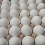 അനധികൃത സ്വത്ത് സമ്പാദന കേസില് എം ആര് അജിത് കുമാറിനെതിരെ തുടരന്വേഷണമില്ല