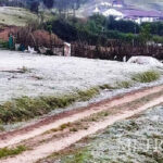 പ്രതീക്ഷയോടെ താരങ്ങള്; ഇന്ന് ഐപിഎല് താരലേലം, മാര്ച്ച് 26ന് പുതിയ സീസണ് തുടങ്ങും